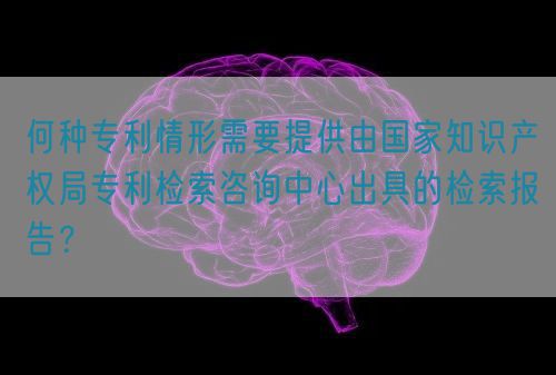 何種專利情形需要提供由國家知識產(chǎn)權(quán)局專利檢索咨詢中心出具的檢索報告？(圖1)